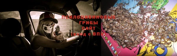 эйфоретик Алексеевка