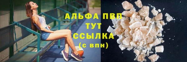 мяу мяу мука Абаза